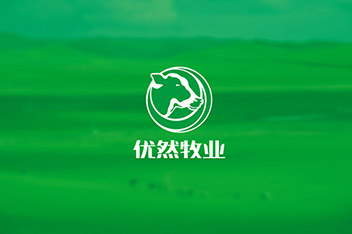 品牌策略規(guī)劃、VI設計、LOGO設計、產(chǎn)品包裝設計