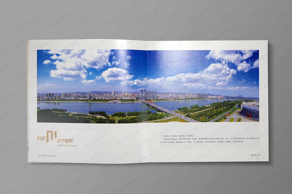 企業(yè)宣傳畫冊設(shè)計(jì)制作
