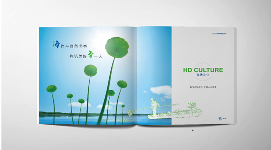 畫(huà)冊(cè)設(shè)計(jì)