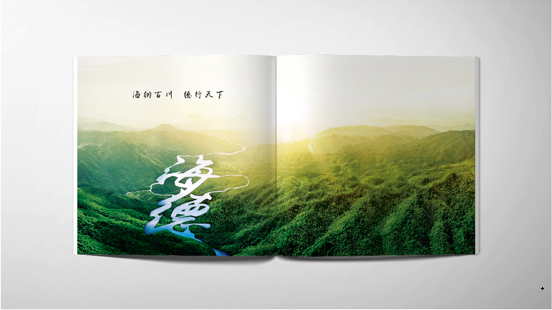 畫(huà)冊(cè)設(shè)計(jì)