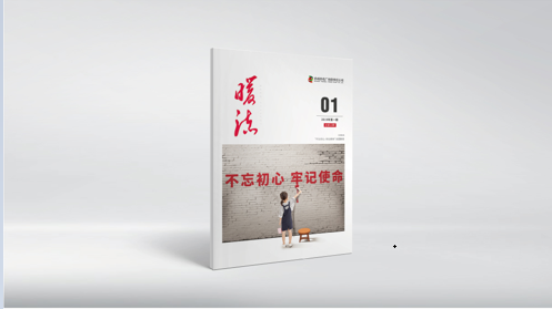 畫(huà)冊(cè)設(shè)計(jì)