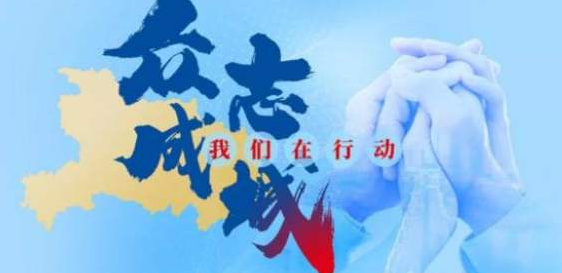 畫冊設計